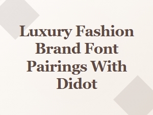 Didot and the Bold Modernist Pairings