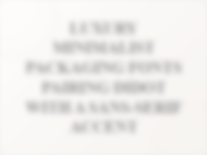 A Minimalist Guide to Pairing Didot with Sans-Serif Accents